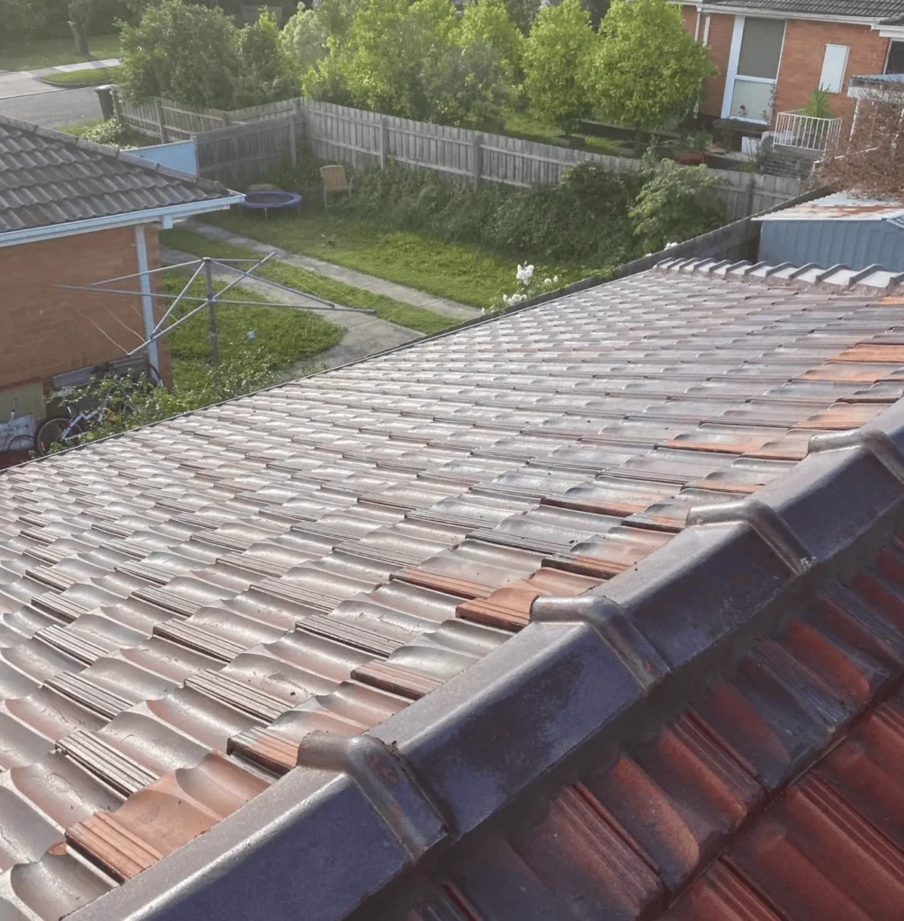 Best Practices for Regular Roof Cleaning