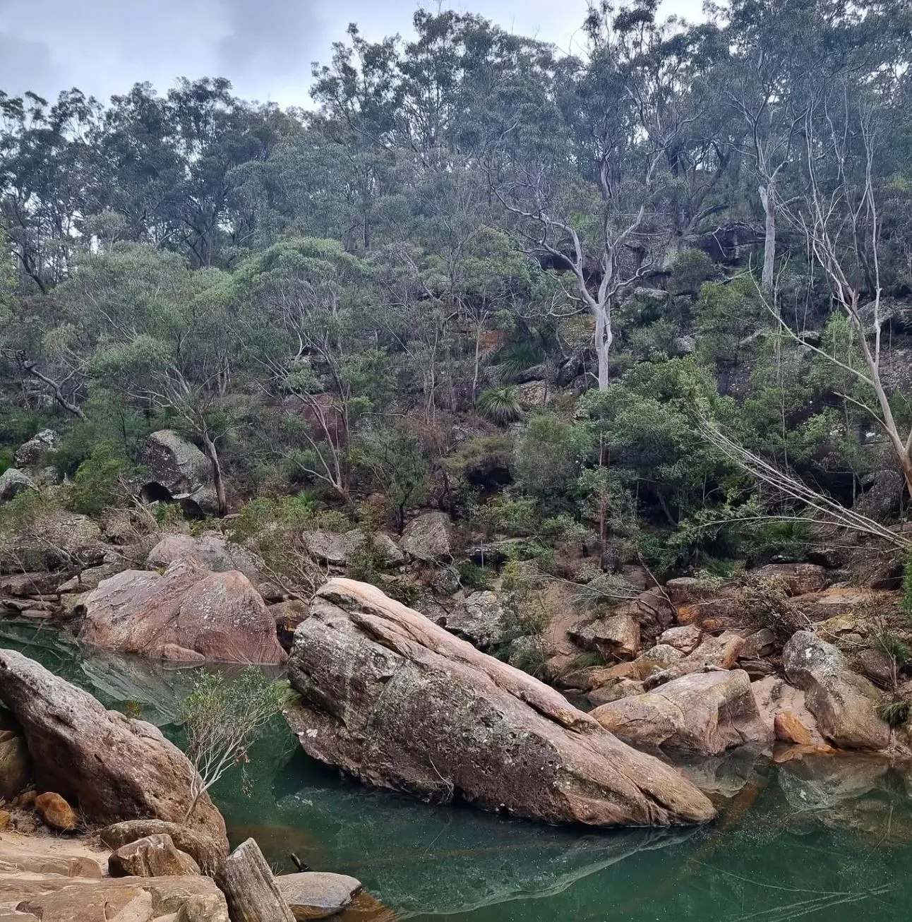 Blue Mountains Tours