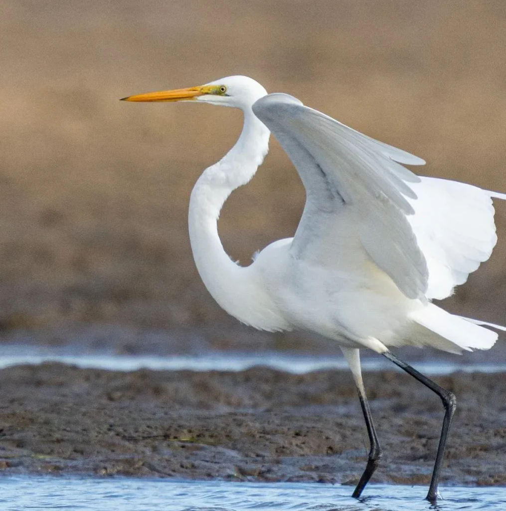 Churchill Island Marine National Park