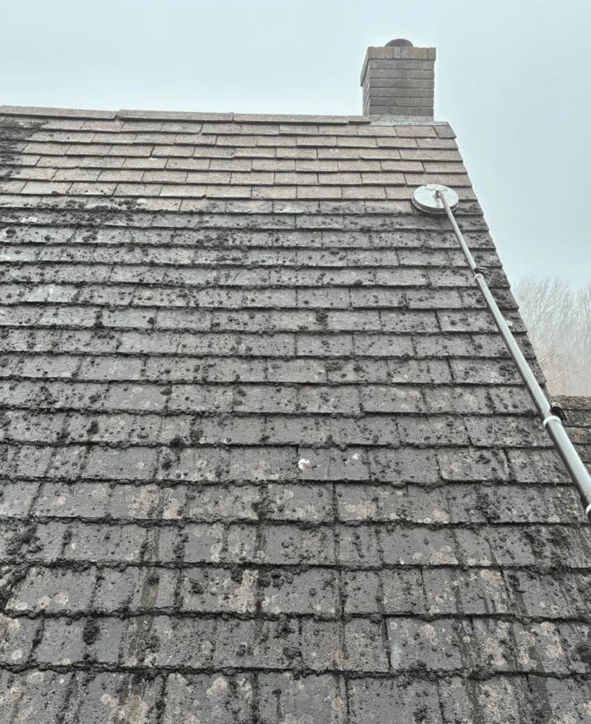 Extending the Life of Your Roof