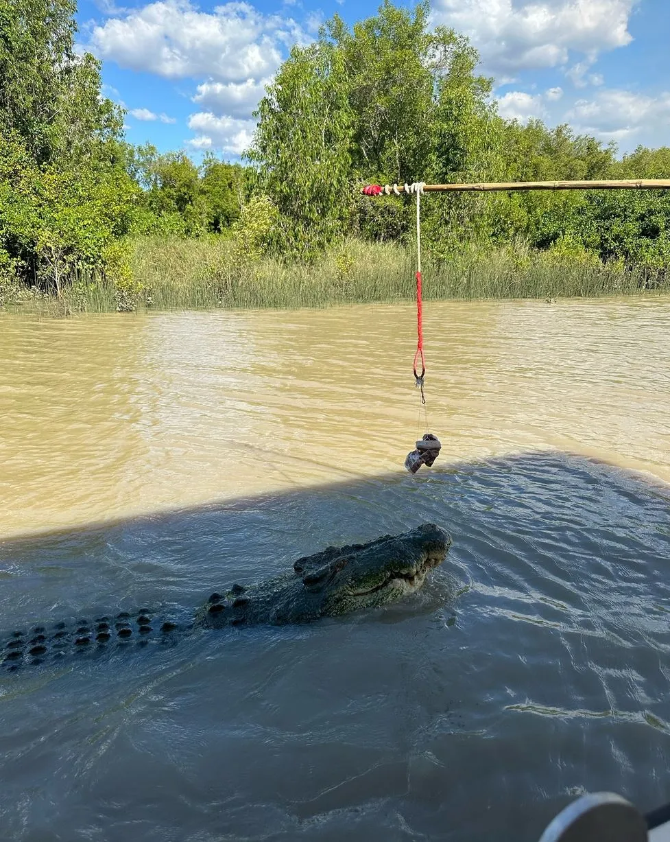 Village Miniature | How Close Do Kids Actually Get to Crocodiles on the Cruise? How Close Do Kids Actually Get to Crocodiles on the Cruise