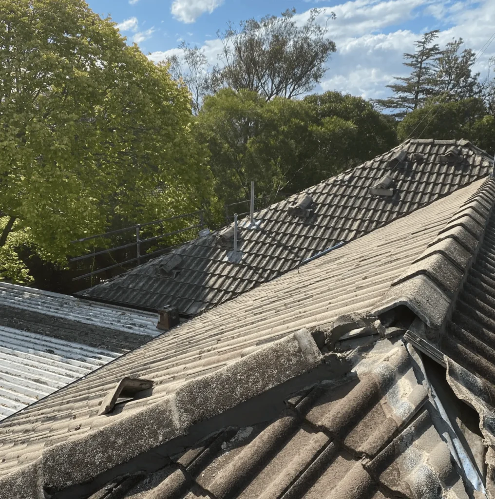 Identifying Roof Damage and Taking Precautions