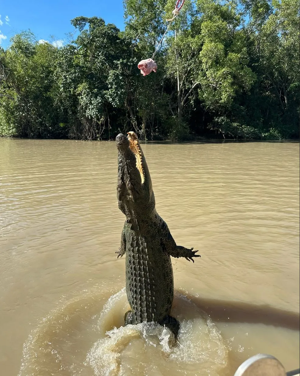 Village Miniature | How Close Do Kids Actually Get to Crocodiles on the Cruise? Jumping Crocodile Cruise from Darwin