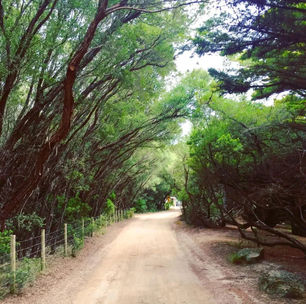 Lorne Foreshore Caravan Park