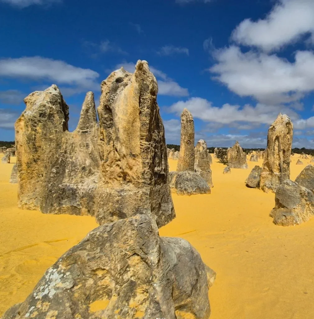 Pinnacles Desert