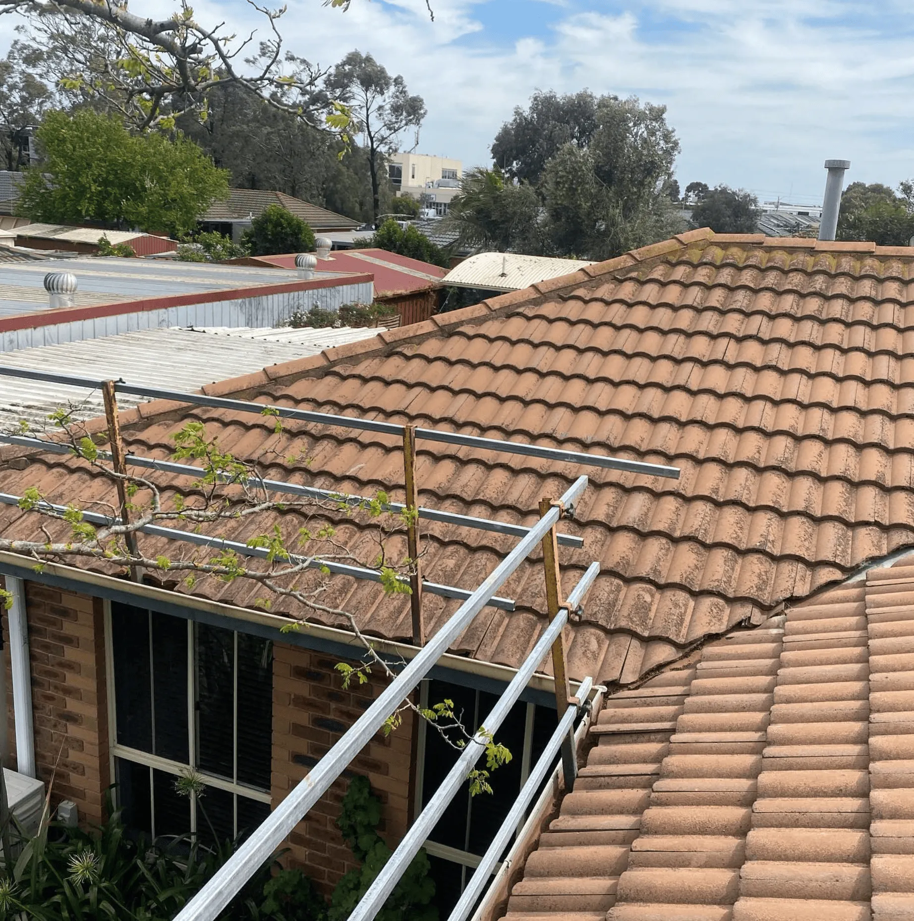 Preventing Roof Damage During Cleaning
