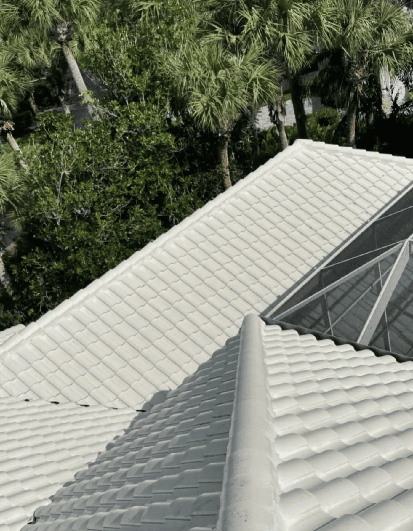 The Benefits of Professional Roof Cleaning