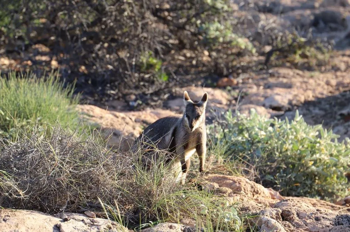 The Best Hiking Trails Around Exmouth