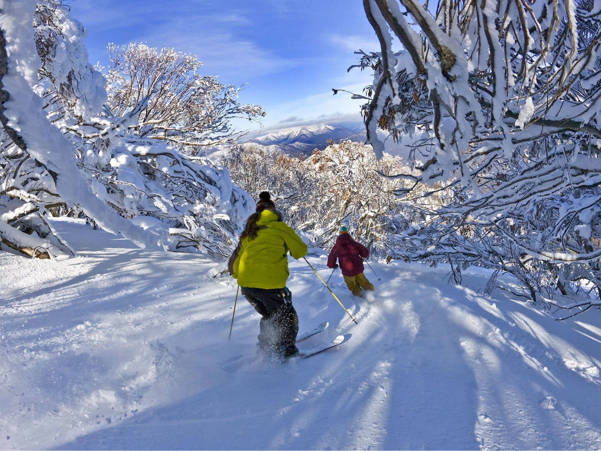 Melbourne Winter Excursions: Explore the Snow-Covered Landscapes