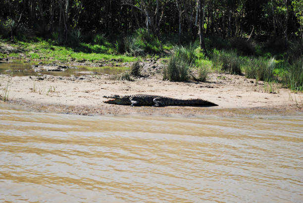 Discover the Natural Wonders of Litchfield on an Unforgettable Day Trip