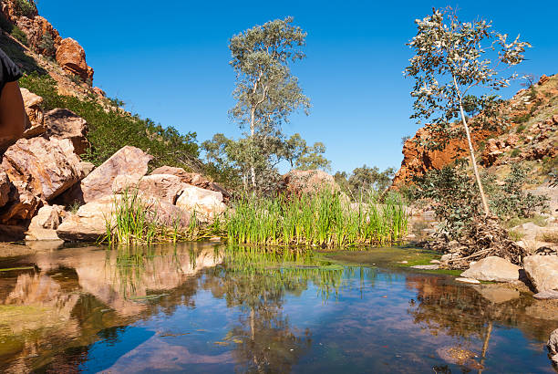 Embark on an Unforgettable Adventure from Alice Springs to Uluru