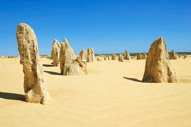 Discover the Marvels of the Pinnacles: An Unforgettable Adventure