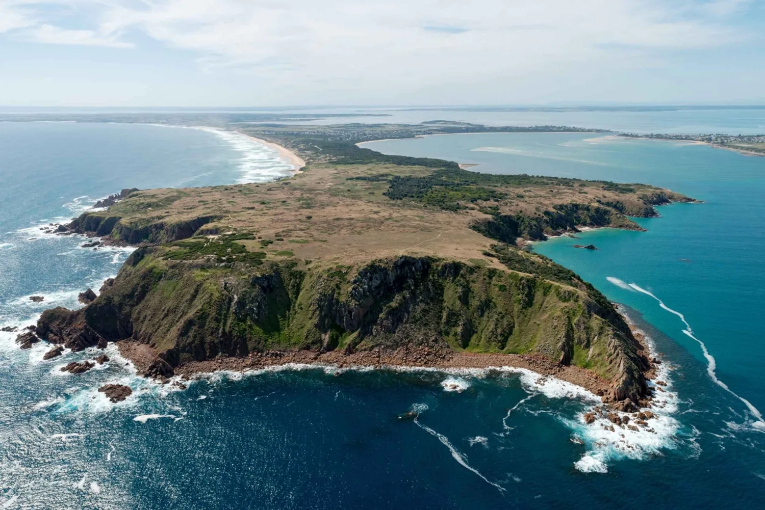 Uncover the Charms of Phillip Island with a Memorable Day Trip